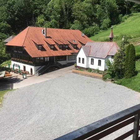 Apartamento Wendelinus Mit Pool & Sauna Hausach