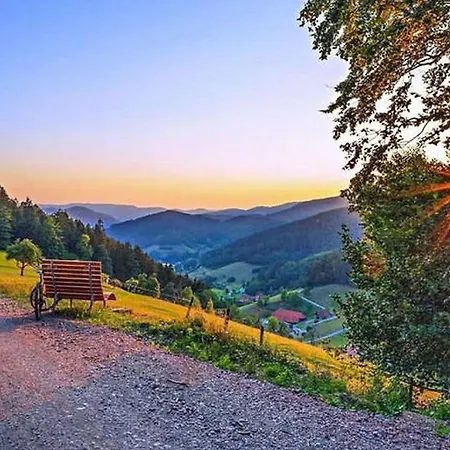 Apartment Wendelinus Mit Pool&sauna Hausach