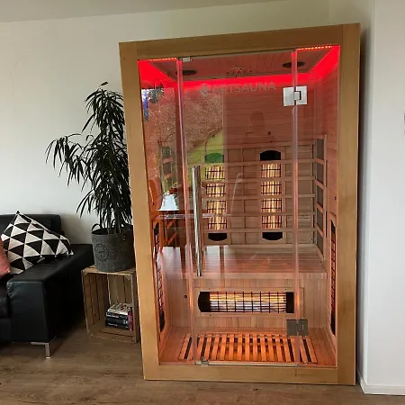 Wendelinus Mit Pool & Sauna Apartment Hausach