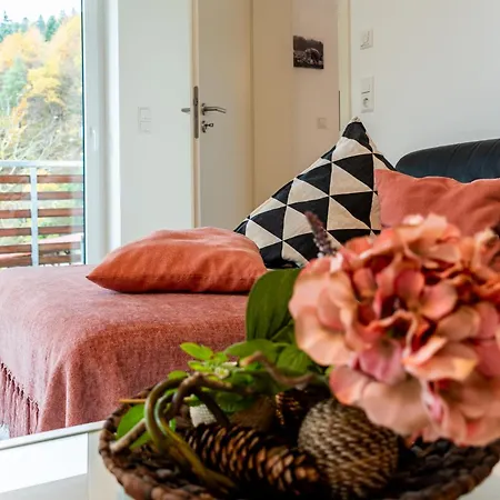 Apartment Wendelinus Mit Pool & Sauna Hausach