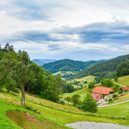 Wendelinus Mit Pool&sauna Hausach
