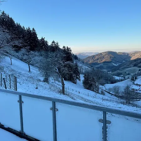 Wendelinus Mit Pool&sauna * Hausach