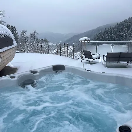 Wendelinus Mit Pool & Sauna Apartment *