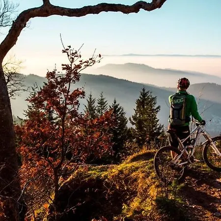 Apartment Wendelinus Mit Pool&sauna *