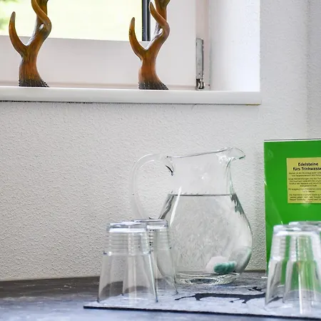 Apartamento Wendelinus Mit Pool & Sauna Hausach